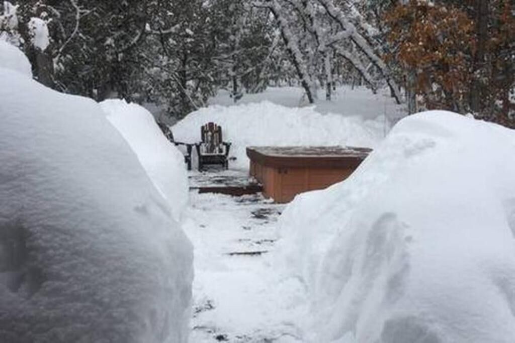 A snow-covered pathway leading to a wooden bench and a large snowbank.