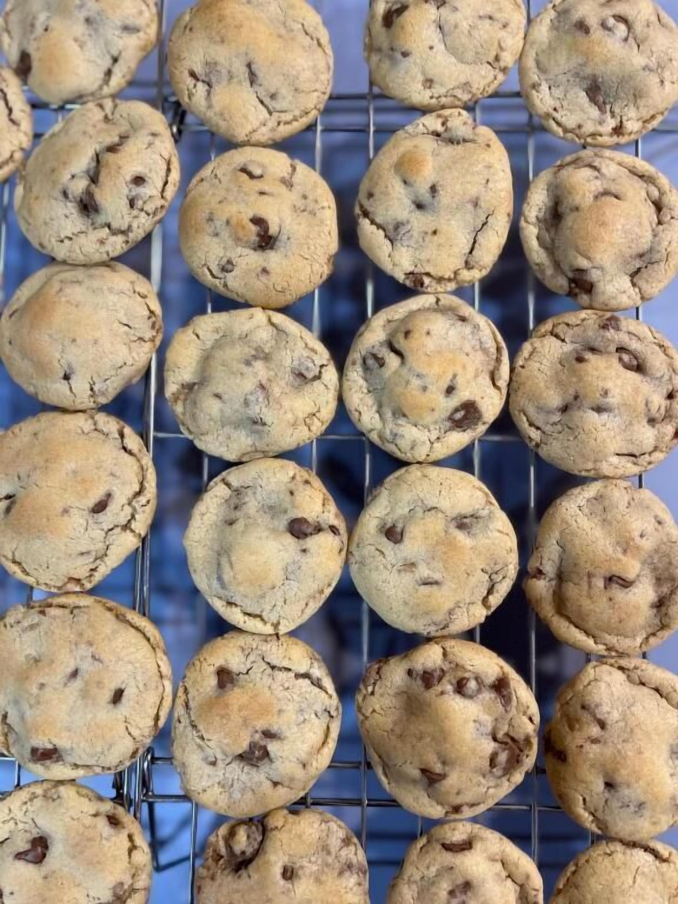 A rack of freshly baked chocolate chip cookies.