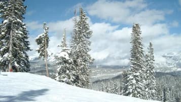 A snowy landscape with tall evergreen trees and a clear sky.