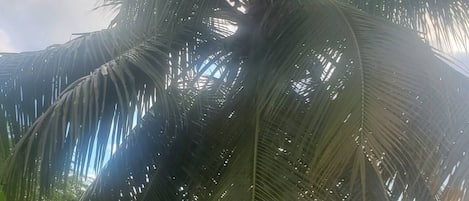 DĂ©tail de lâextĂ©rieur