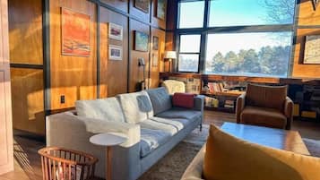 Smart TV, fireplace, books