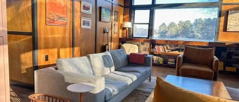 TV connectée, cheminée, livres