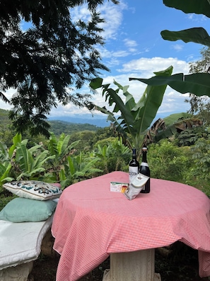 Garden - Badu Lodge (Santiago de Puriscal)