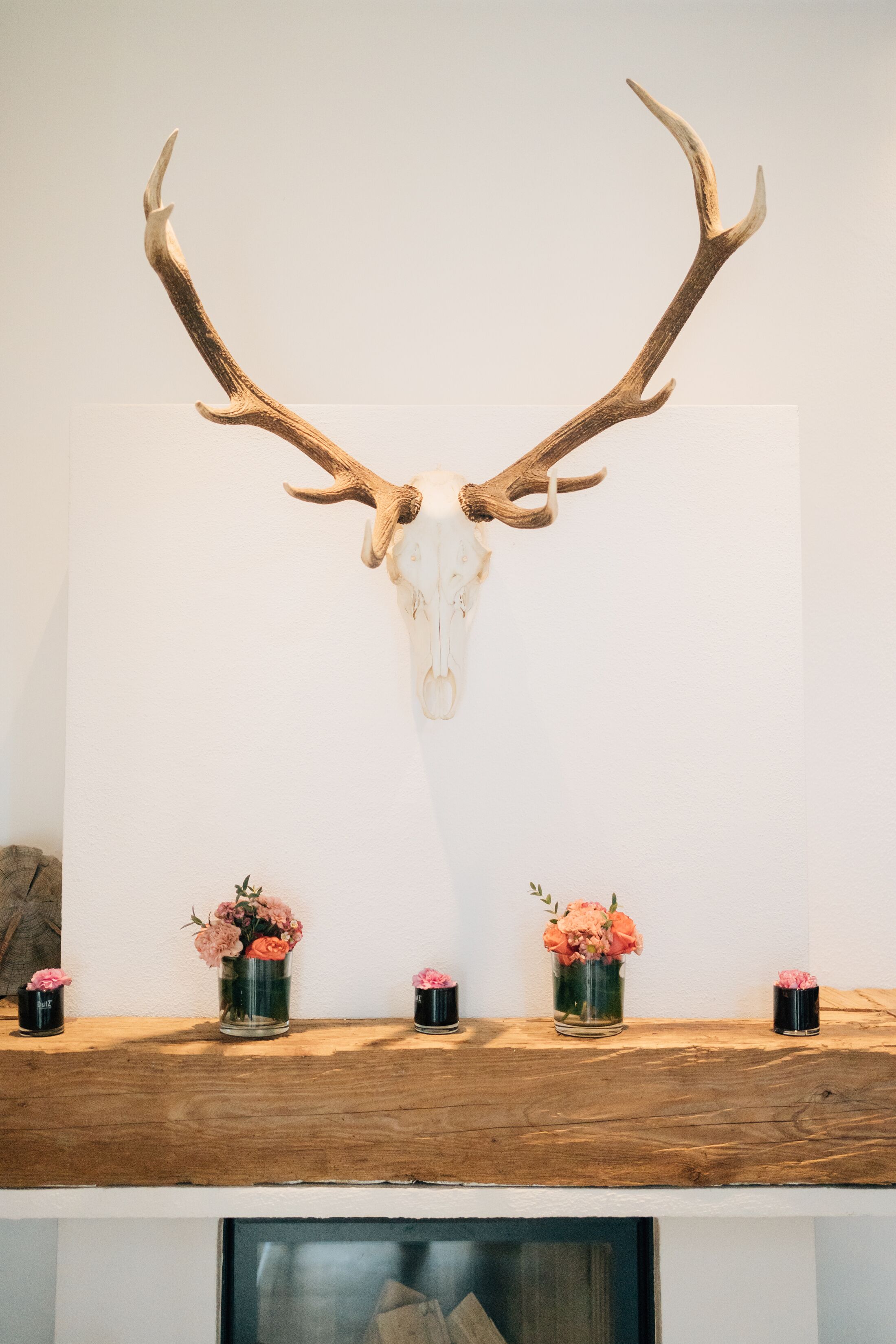 Ein an der Wand aufgehängter Hirschkopf über einem Holzregal mit Blumenvasen.