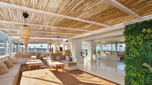 Amplia sala de estar con suelo de madera, techo alto con techo de paja y una gran pared verde con plantas.