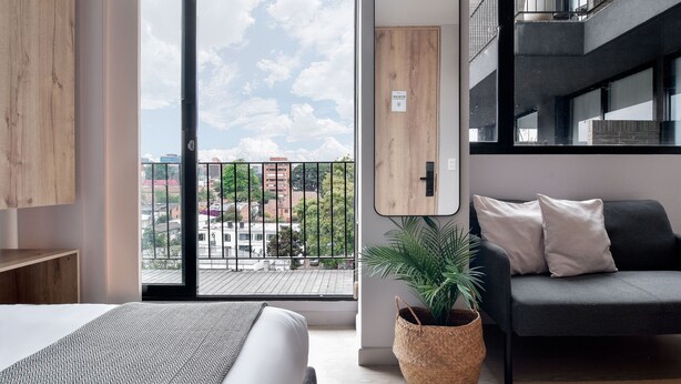 Une chambre moderne avec une grande fenêtre, un lit, un canapé foncé et une plante en pot.