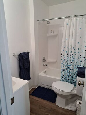 Hair dryer, towels, soap, toilet paper