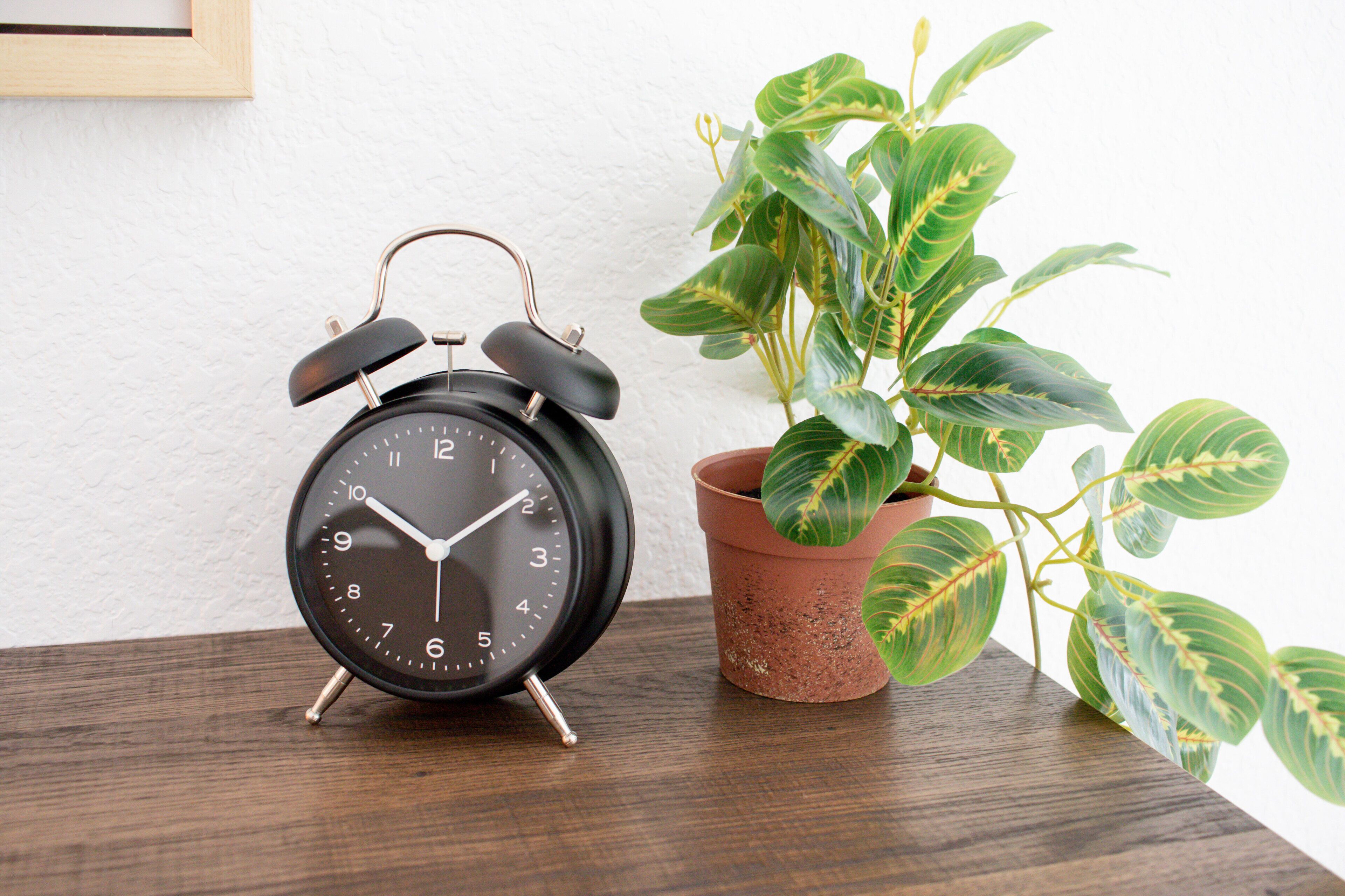 Un réveil noir est posé sur une table en bois, à côté d’une plante en pot.