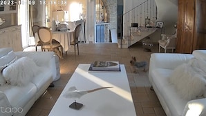 A spacious living room with white sofas, a coffee table with a book and a bird sculpture, and a dog walking around. - Maison sur la Colline, Lagnes Proche de Gordes et Lisle sur la Sorgue (Lagnes)