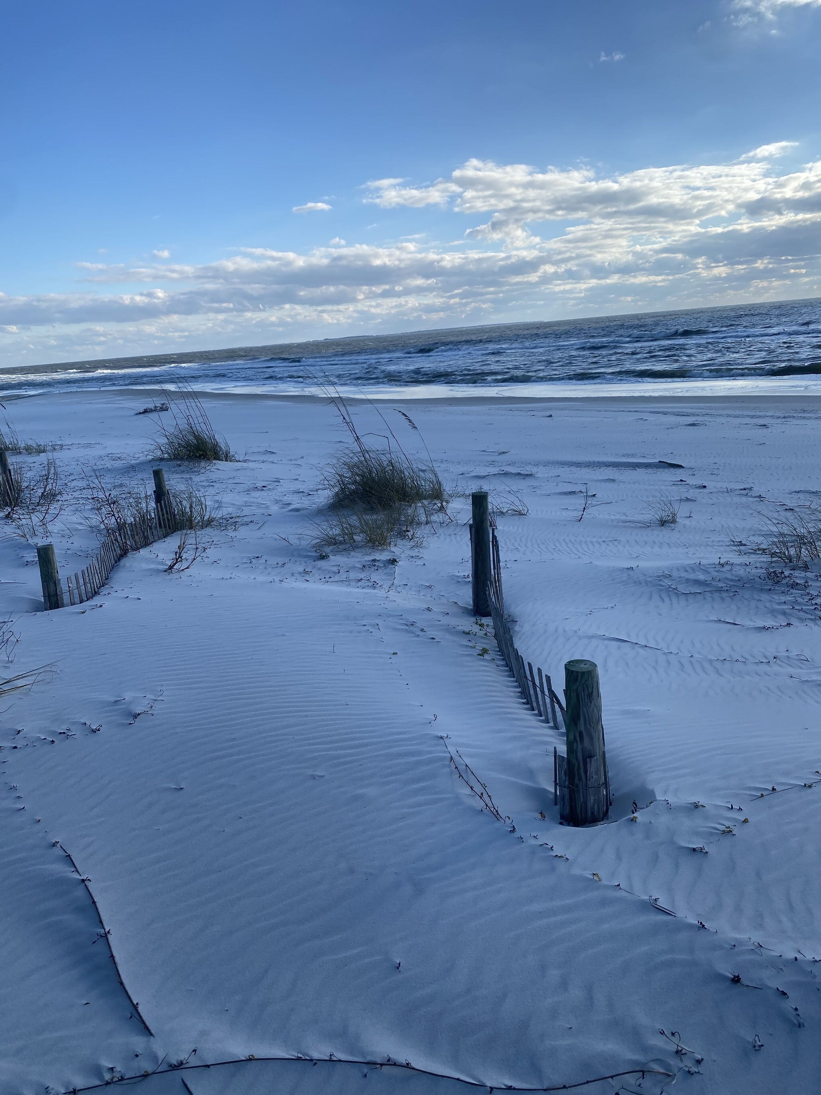 Plage, chaises longues