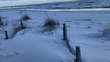 Plage, chaises longues
