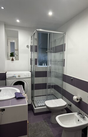 Shower, hair dryer, bidet, towels
