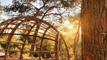 Terrein van de accommodatie