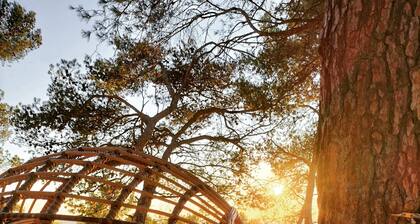 Le Moulin Rouge Provençal : charming old windmill with hot tub close to Aix