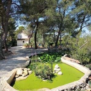 Áreas de la propiedad