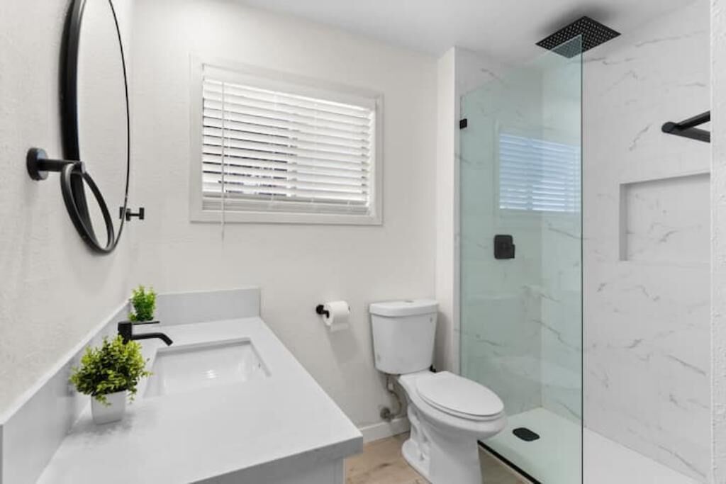 A modern bathroom with a glass-enclosed shower, a white sink with a small plant, and a toilet with a white lid.