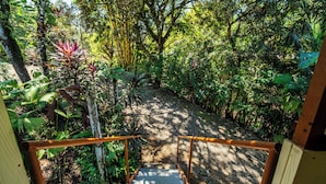 Uma escadaria de madeira leva a um jardim exuberante, com vegetação densa e um caminho de terra.