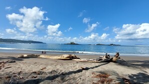 Uma praia com destroços de madeira, águas azul-claras e ilhas ao longe.