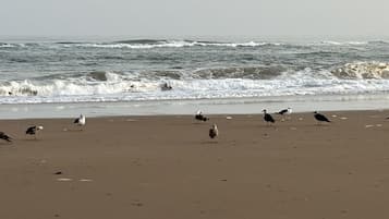 Playa