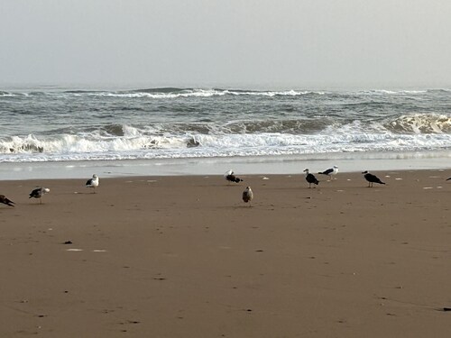 Apparemment Familial Ensoleillé Toute la Journée