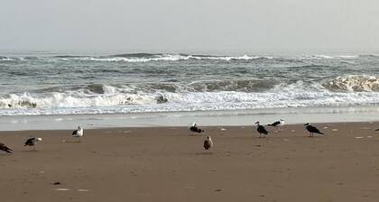 Apparemment Familial Ensoleillé Toute la Journée