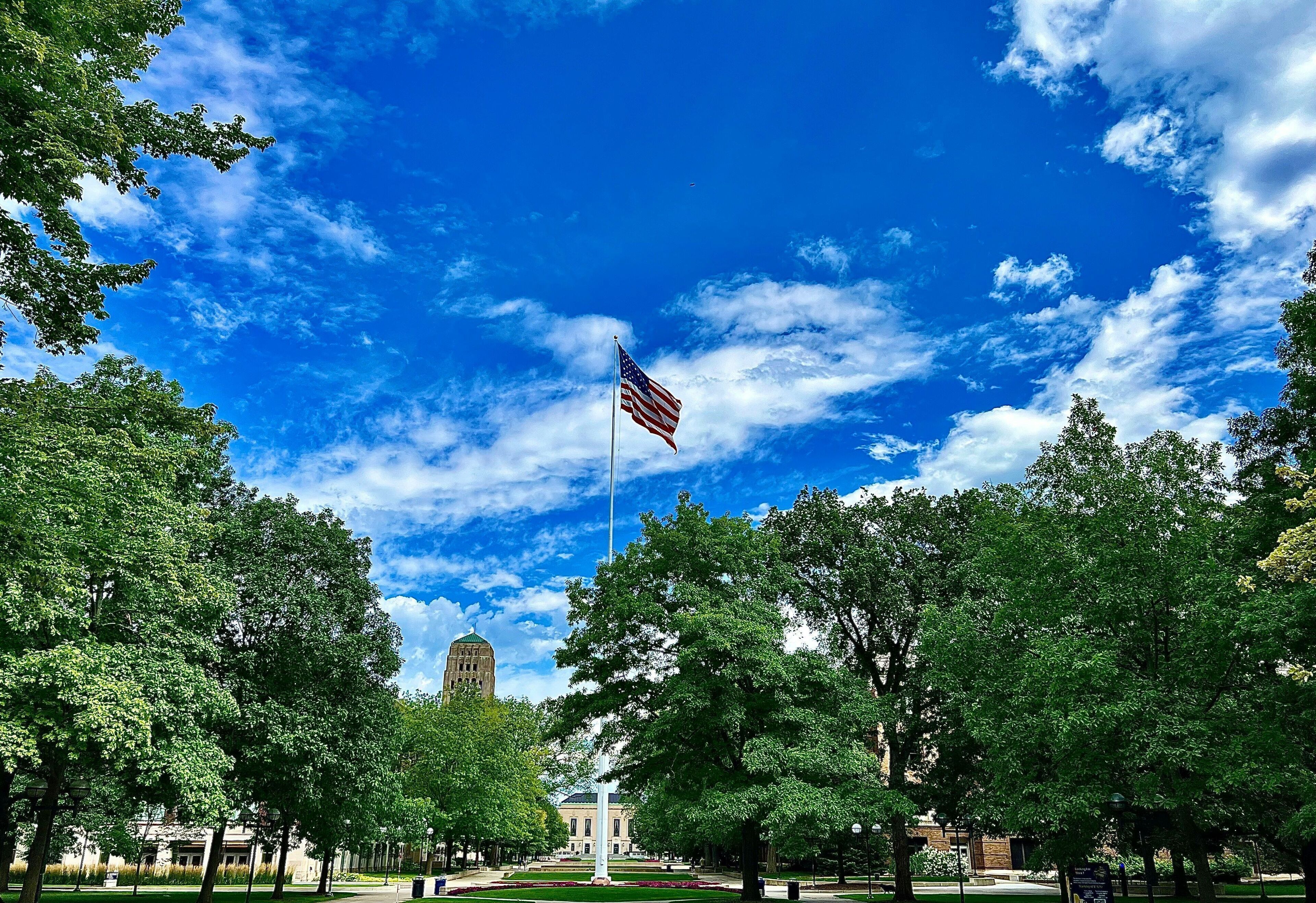 A flagpole with an American flag, surrounded by trees and a building in the background.