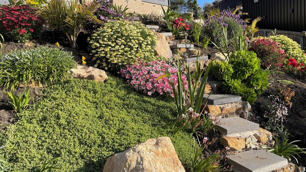 Jardí paisatjistic amb diverses plantes i flors, escales de pedra i un mur de rajola.