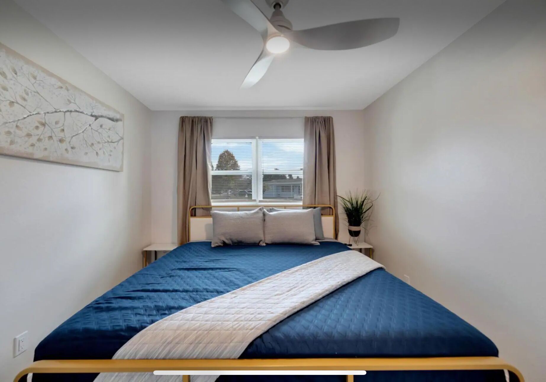Une chambre à coucher avec un lit, un ventilateur de plafond, une fenêtre avec des rideaux et une plante fixée au mur.
