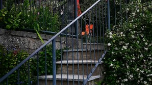Un escalier avec des rampes en métal, entouré de verdure et de fleurs.