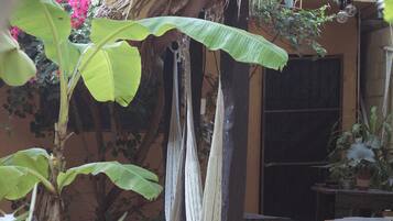 Estructura con techo de paja, con hamacas y una mesa, rodeada de plantas y flores.