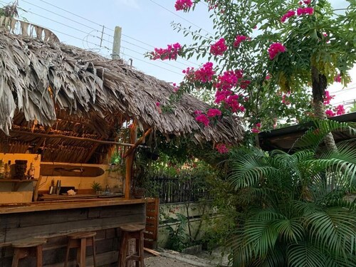 Jungla Bacalar