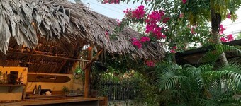 Jungla Bacalar