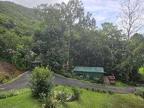 Property grounds - Couples Retreat spa & massage cabin Cairns (Gordonvale)
