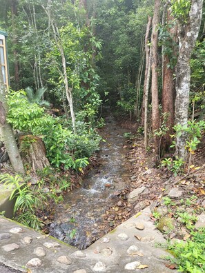 Property grounds - Couples Retreat spa & massage cabin Cairns (Gordonvale)