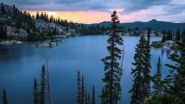 Un lago sereno rodeado de un bosque denso y montañas, con cielo despejado.