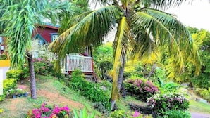 Un jardin tropical avec des palmiers, une clôture blanche et un bâtiment rouge.