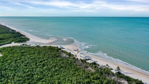 An aerial view of a beach with a clear sky, a sandy shoreline, and dense green vegetation. - Enjoy this beautiful condo at St. Maarten in gorgeous, coastal Pelican Bay! (Naples)