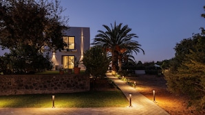 Une maison moderne avec un chemin pavé, un mur en pierre et un palmier.