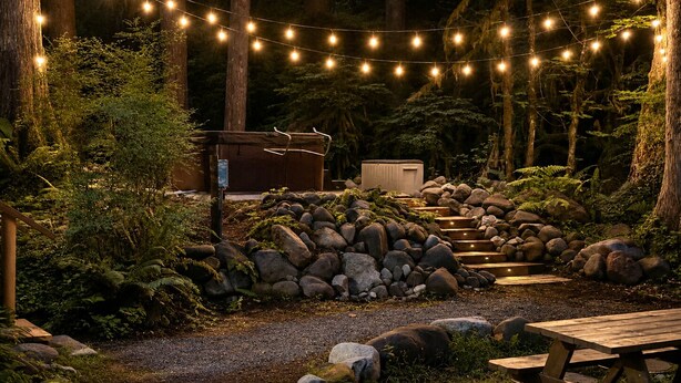 A forested area with a wooden bench and picnic table, string lights, and a small shed. - Cozy retreat, newly renovated with loft, hot tub, creek access, pet friendly (Rhododendron)