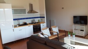 Ein kompakter Wohnbereich mit Küchenzeile, einer Couch, einem Fernseher und einem Kamin.