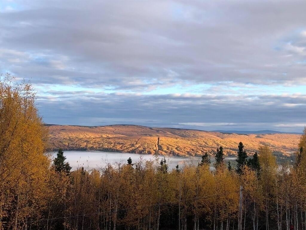 Chickadee Lodge- Cozy & private retreat with lMountains & Northern Lights view!