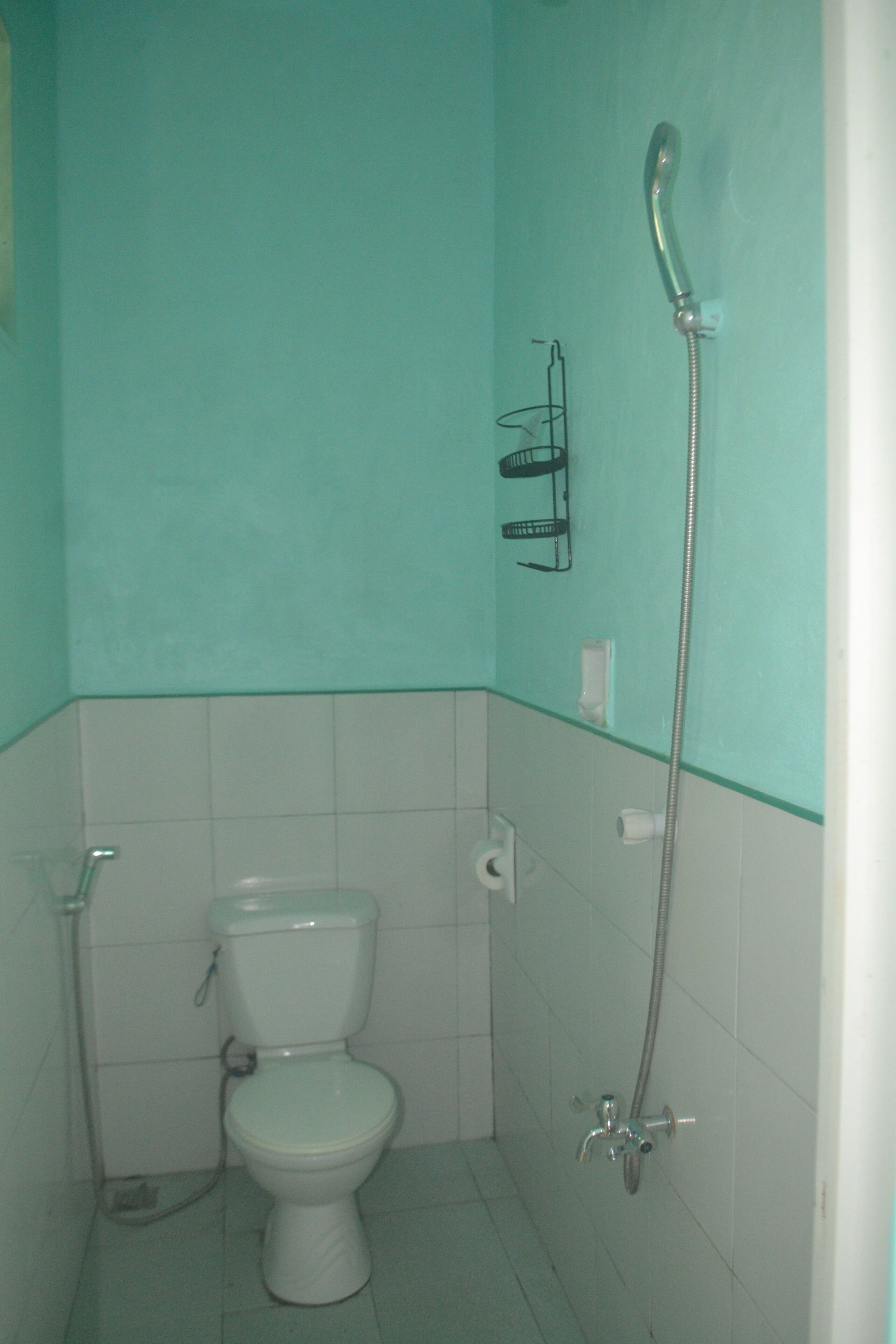 Um banheiro pequeno com vaso sanitário, chuveiro e porta-toalhas.