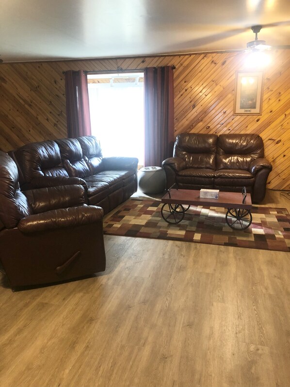 Televisión, chimenea y reproductor de DVD 