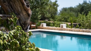 A swimming pool with a stone wall and greenery in the background.