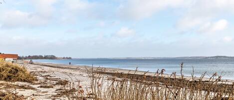 بالقرب من الشاطئ