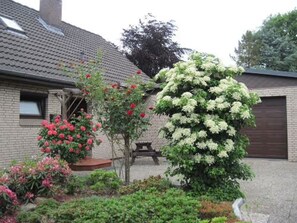 Terassi/patio