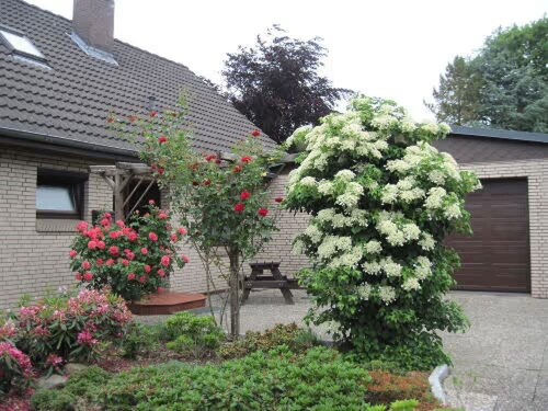 Ferienwohnung Hennig" mit Privatem Garten und WLAN