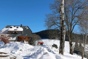 Exterior - Apartment 'Ferienwohnung Sternschnuppe, 90 Qm' with Mountain View, Shared Garden and Balcony (Titisee-Neustadt)