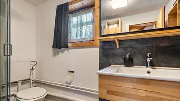 Een badkamer met een toilet, een wastafel, een spiegel en een raam met gordijn.