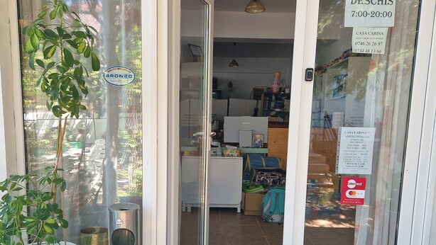 Un escaparate con puerta corredera de vidrio, una planta en maceta, un bote de basura y un gato en el suelo.